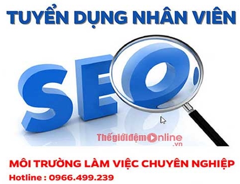 Tuyển dụng seo chế độ đãi ngộ cao-môi trường làm việc chuyên nghiệp